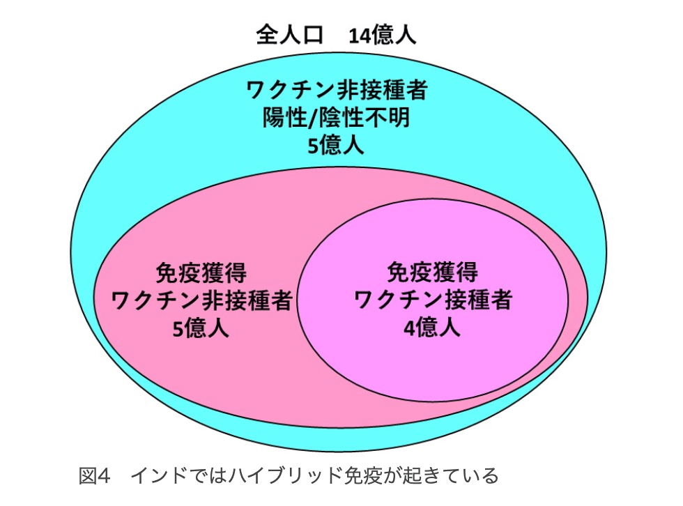 【コラム】バイオコンサルタントの視点  “ハイブリッド免疫”で決まりか？